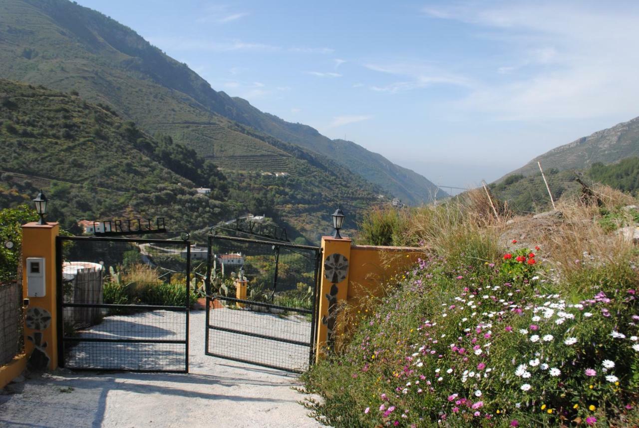 Cortijo Buenavista Holiday home