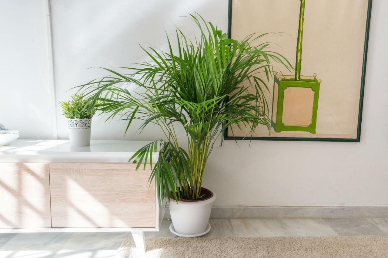 Ambc-very Quiet Steps Away From Old Town * Malaga