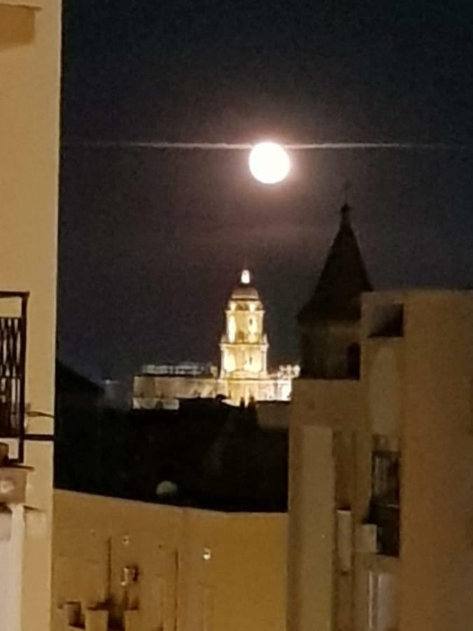 Con Vistas A La Catedral A 15 Minutos Del Centro Málaga