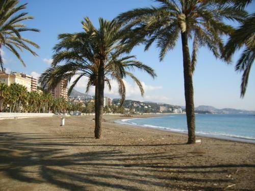 Appartamento Encantador Bajo En Málaga