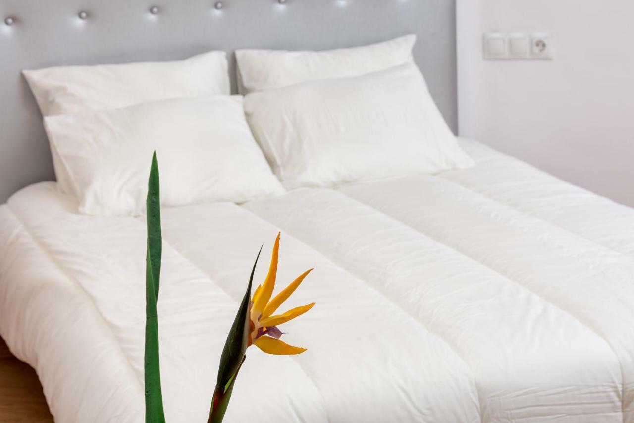 Magnifico Estudio En Bolsa 6. Ac. Apartment *