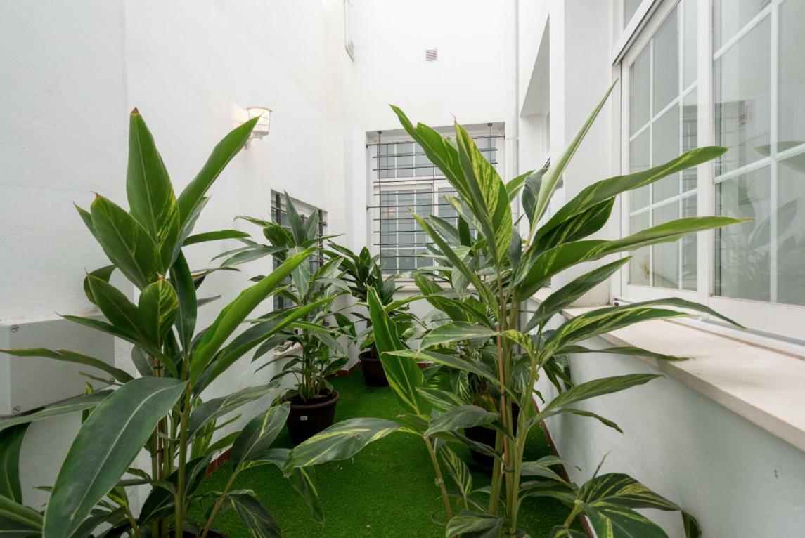 Ml1c-prime Location Marble With Patios Málaga