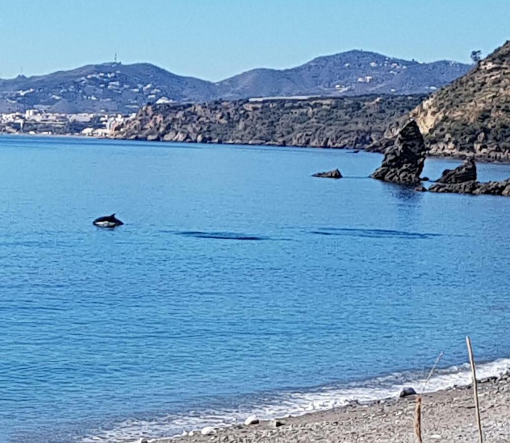 Cortijo Buenavista * Malaga