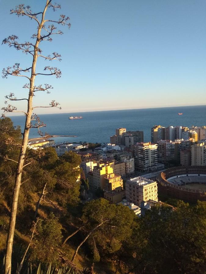 Virgen Bien Aparecida Сasa de vacaciones *