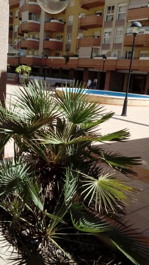 Maravilloso Apartamento En La Playa En Capital Appartement *