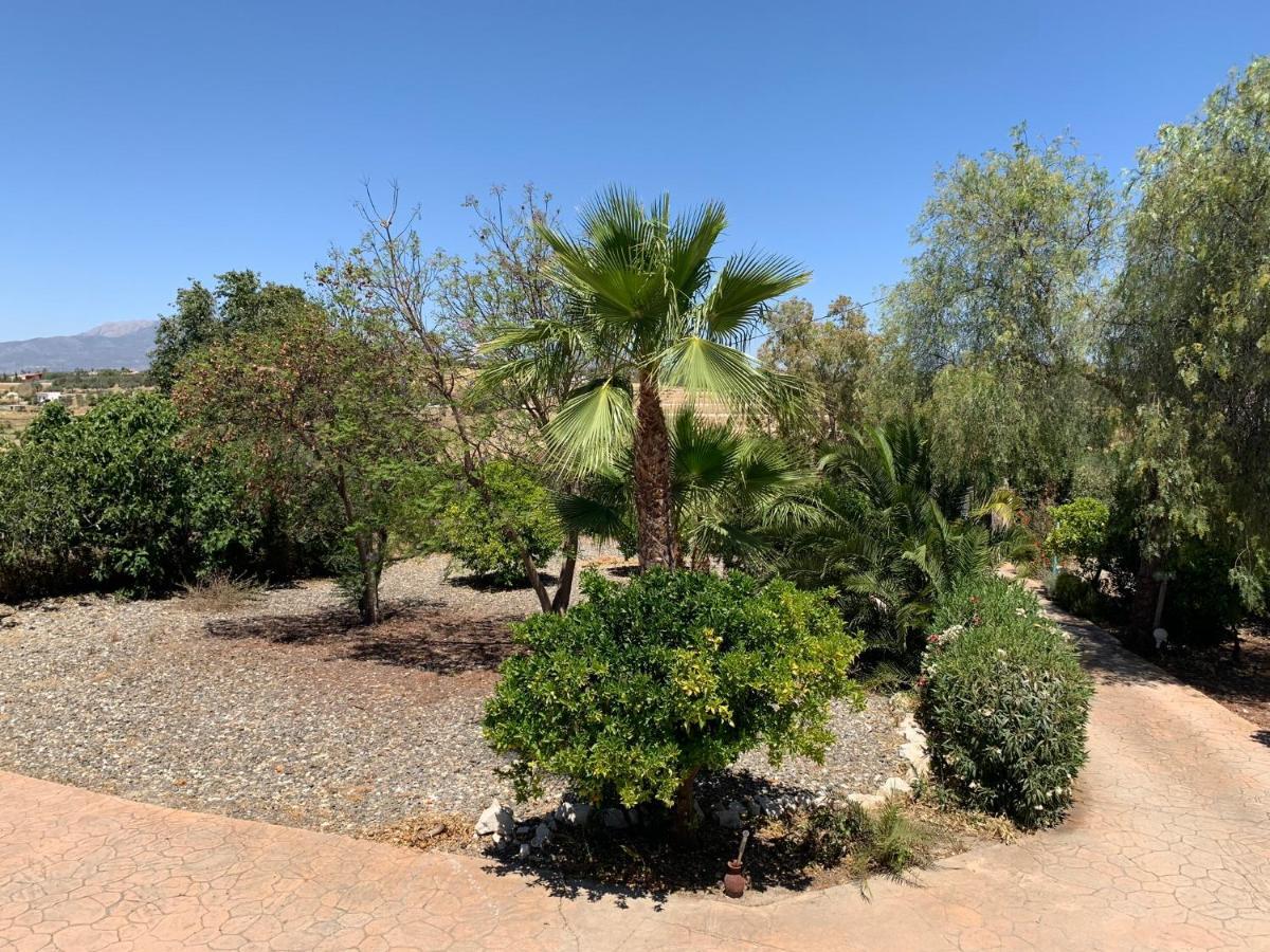 Finca Edyta Malaga
