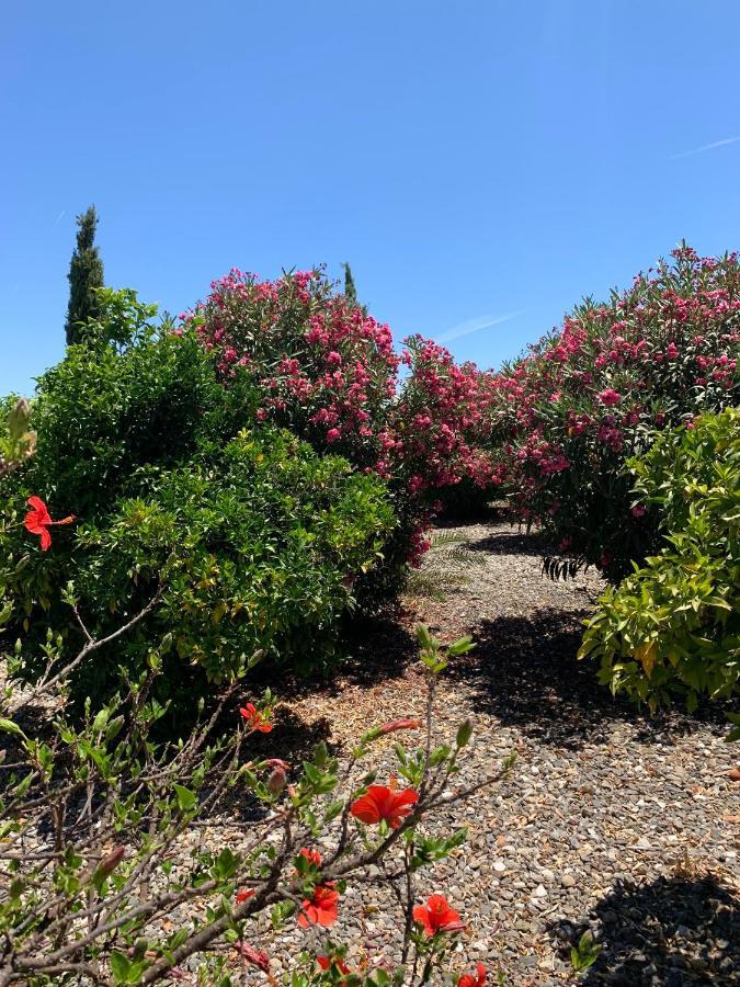 Finca Edyta * Malaga