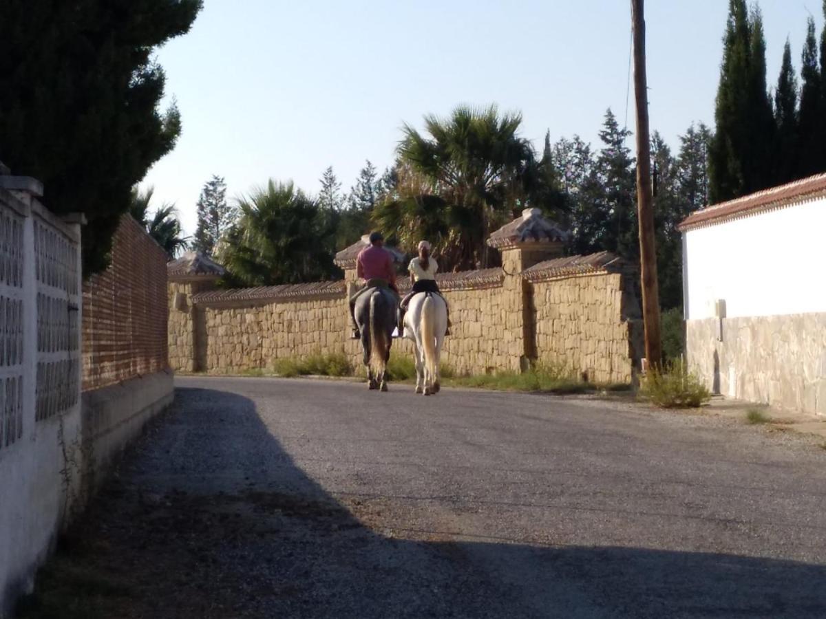 Arcos Hébergement de vacances *