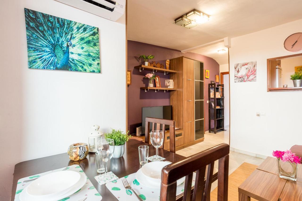 Apartamento Family Noemi Center *