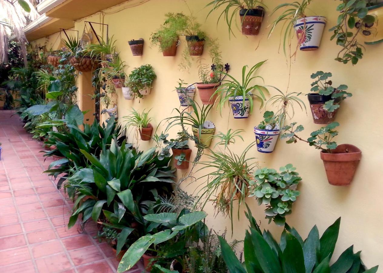 Casa Esperanza Apartamento *
