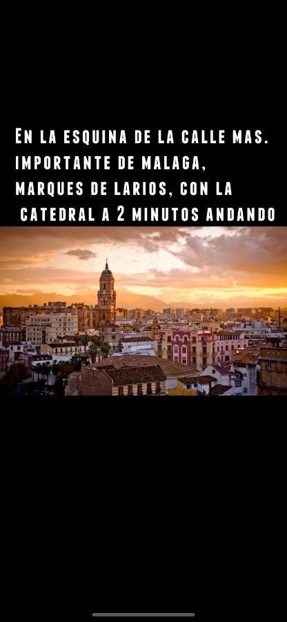 Appartamento Marques De Larios 8 Centro Historico Especial Grupos Parking Gratis *