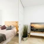 Apartamento Lujo Ancha del Carmen