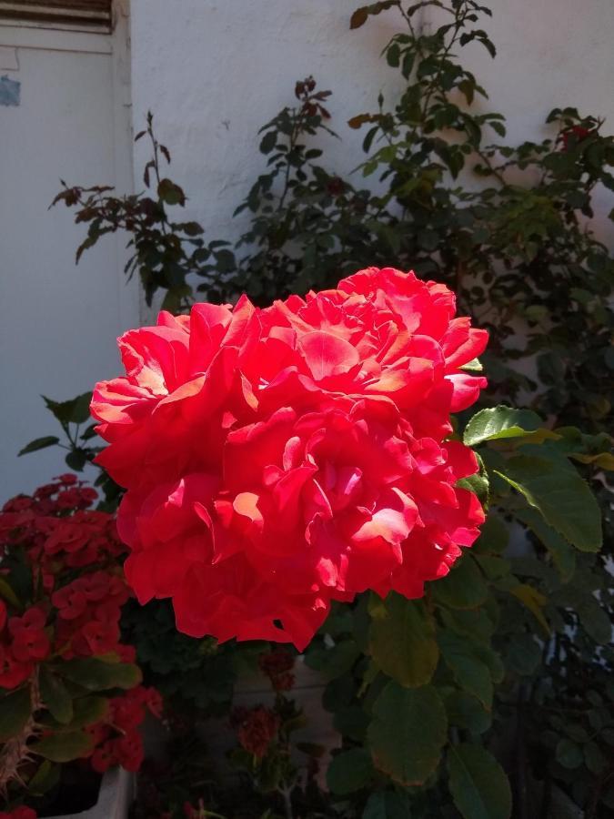 Apartamento Laguna Beach, Torrox Costa, Málaga