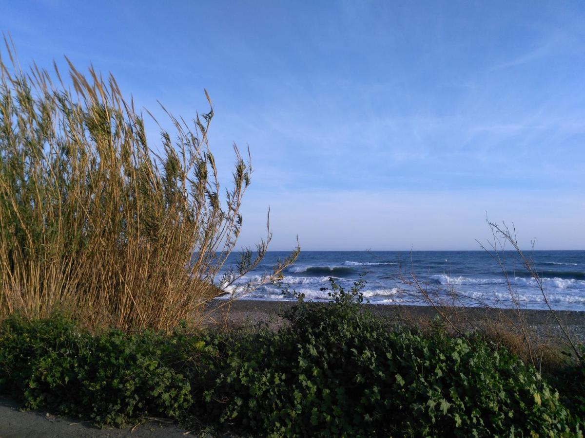 Apartamento Laguna Beach, Torrox Costa, Lägenhet Málaga