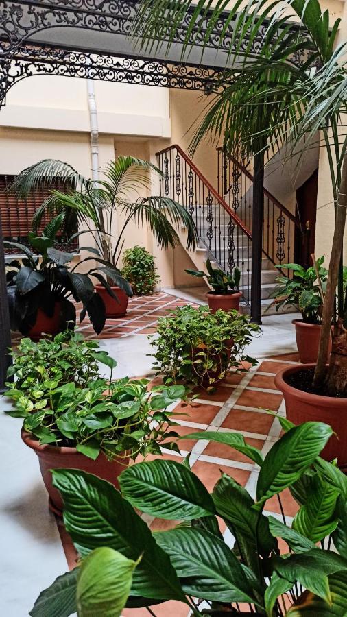 Botanic Appartement *