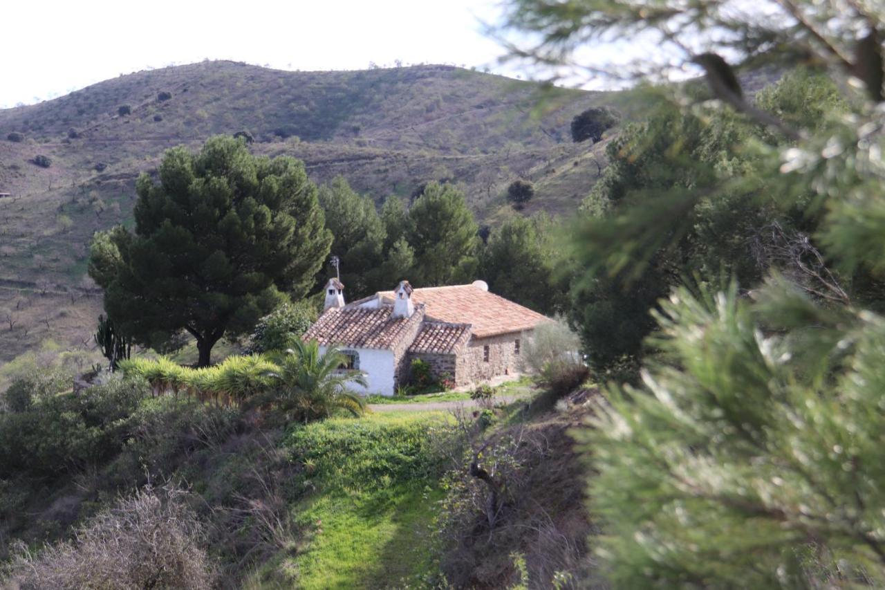 Pinar El Almendra *