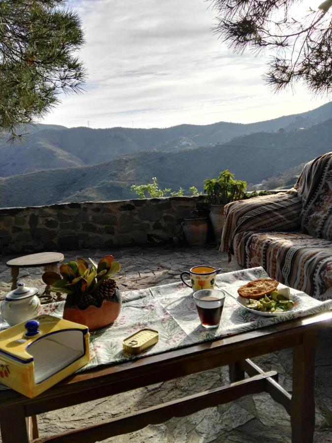 Pinar El Almendra Holiday home