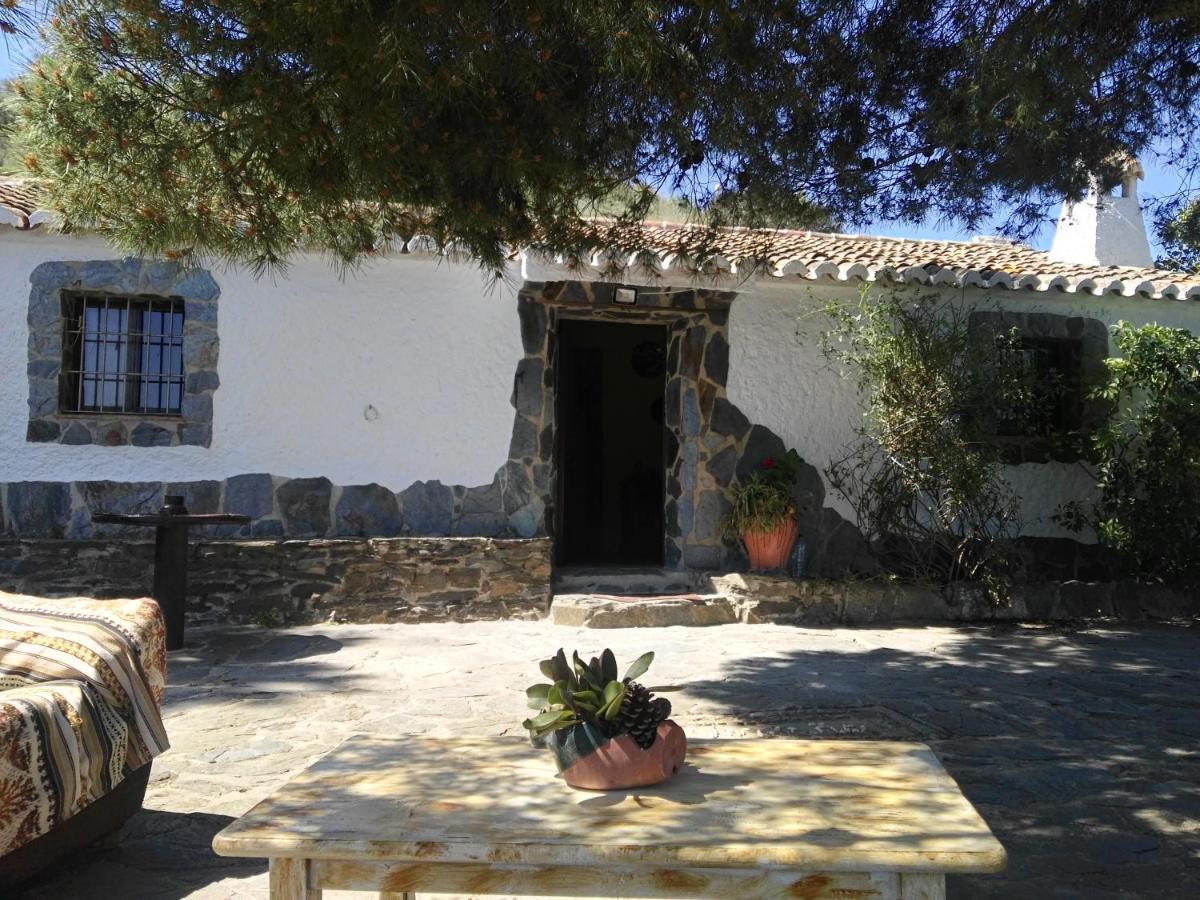 Pinar El Almendra * Malaga