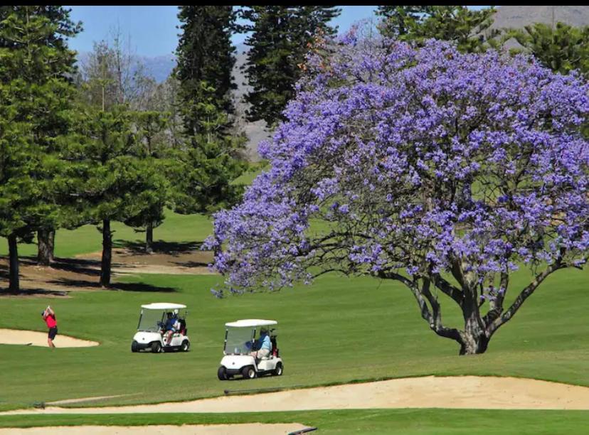 Vitania Ii Mijas Golf Apartment *