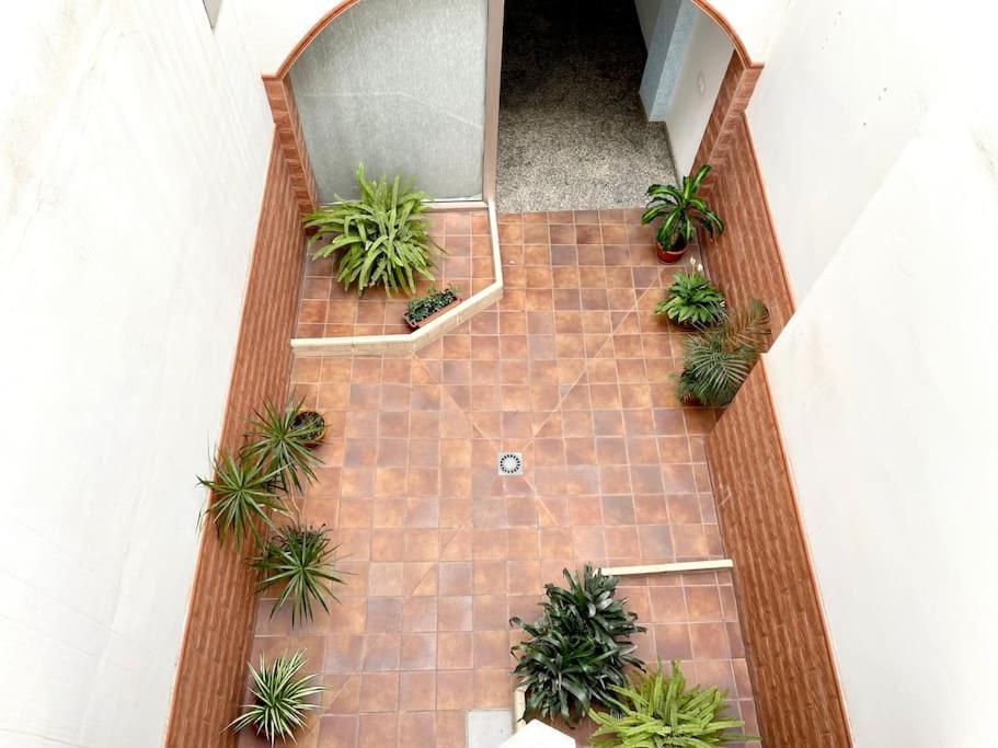 Acogedor En Centro Historico Apartamento
