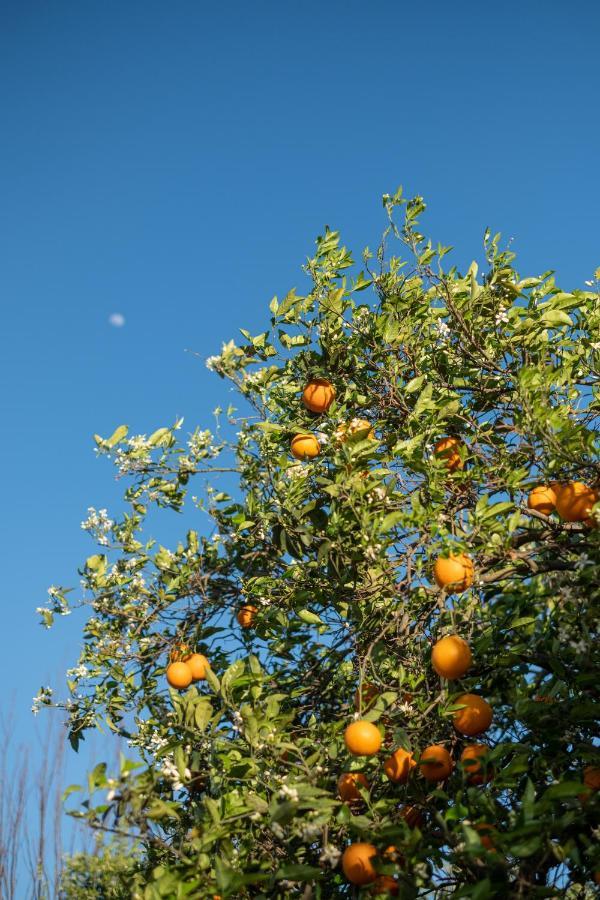 Casa Rural Emilio Con 4 Holiday home *