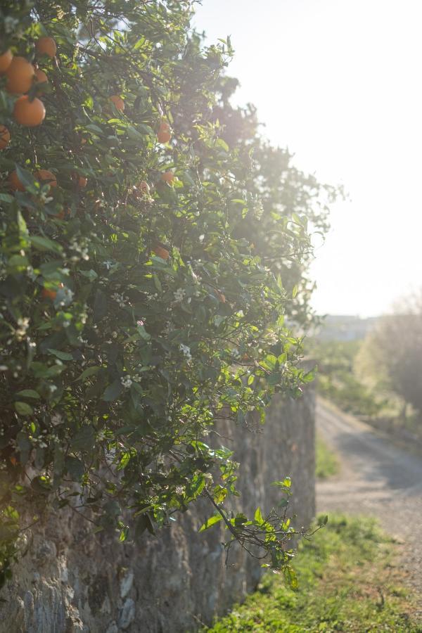 Casa Rural Emilio Con 4 * Malaga