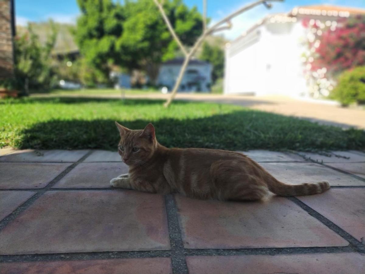 Casa de Férias Paraje El Pozo *
