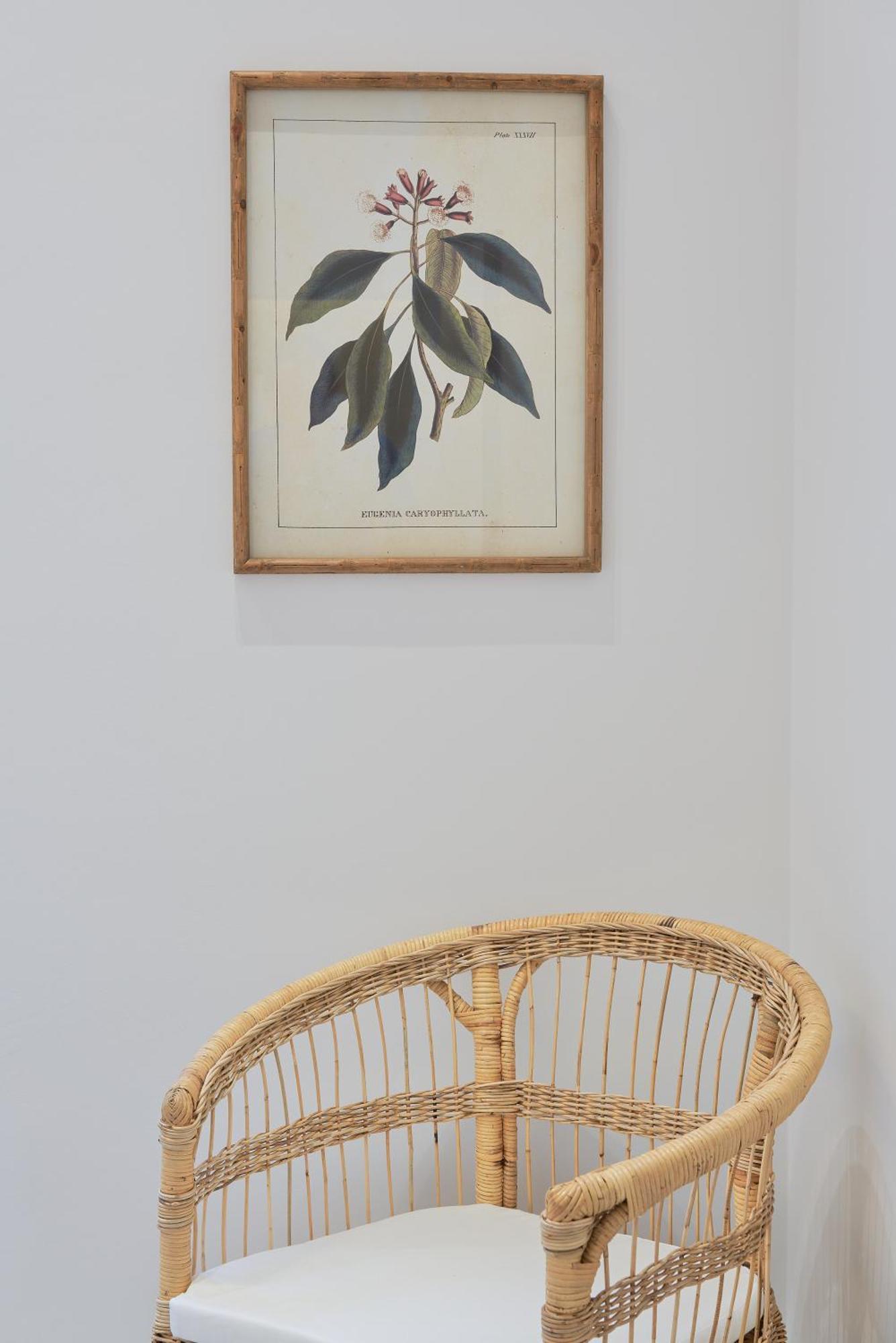 Iloftmalaga Domingo Lozano Appartement *