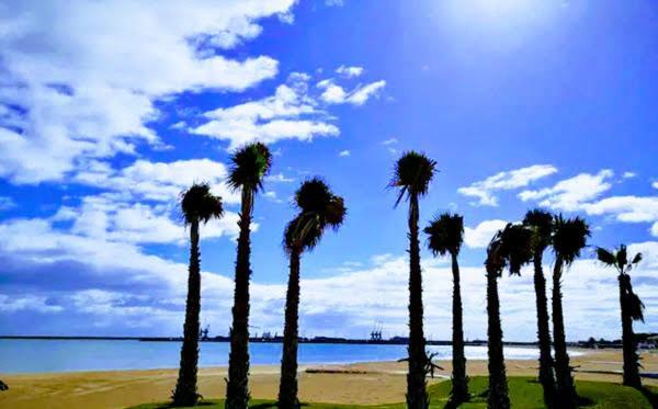 Lägenhet Atico Con Piscina Y Vistas Al Mar Habitat Litoral