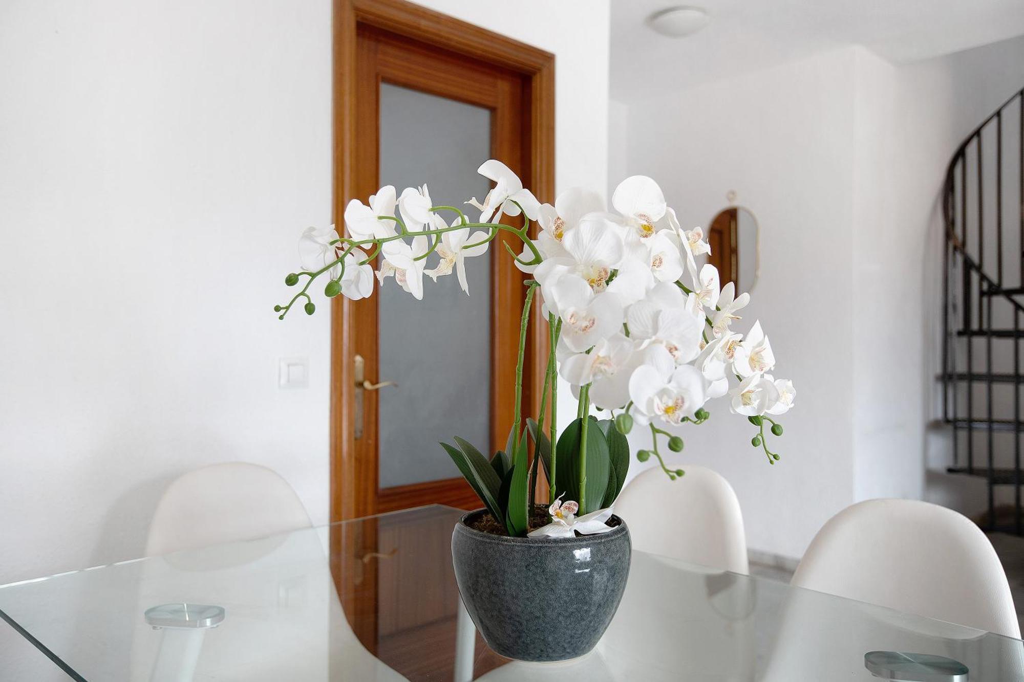 Atico Duplex En *