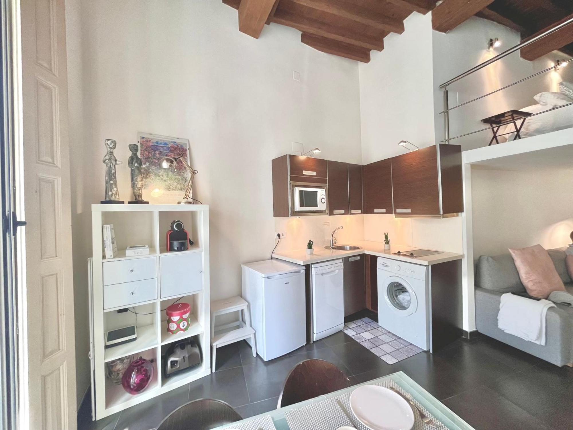 Appartement Loft Especeria Centro *