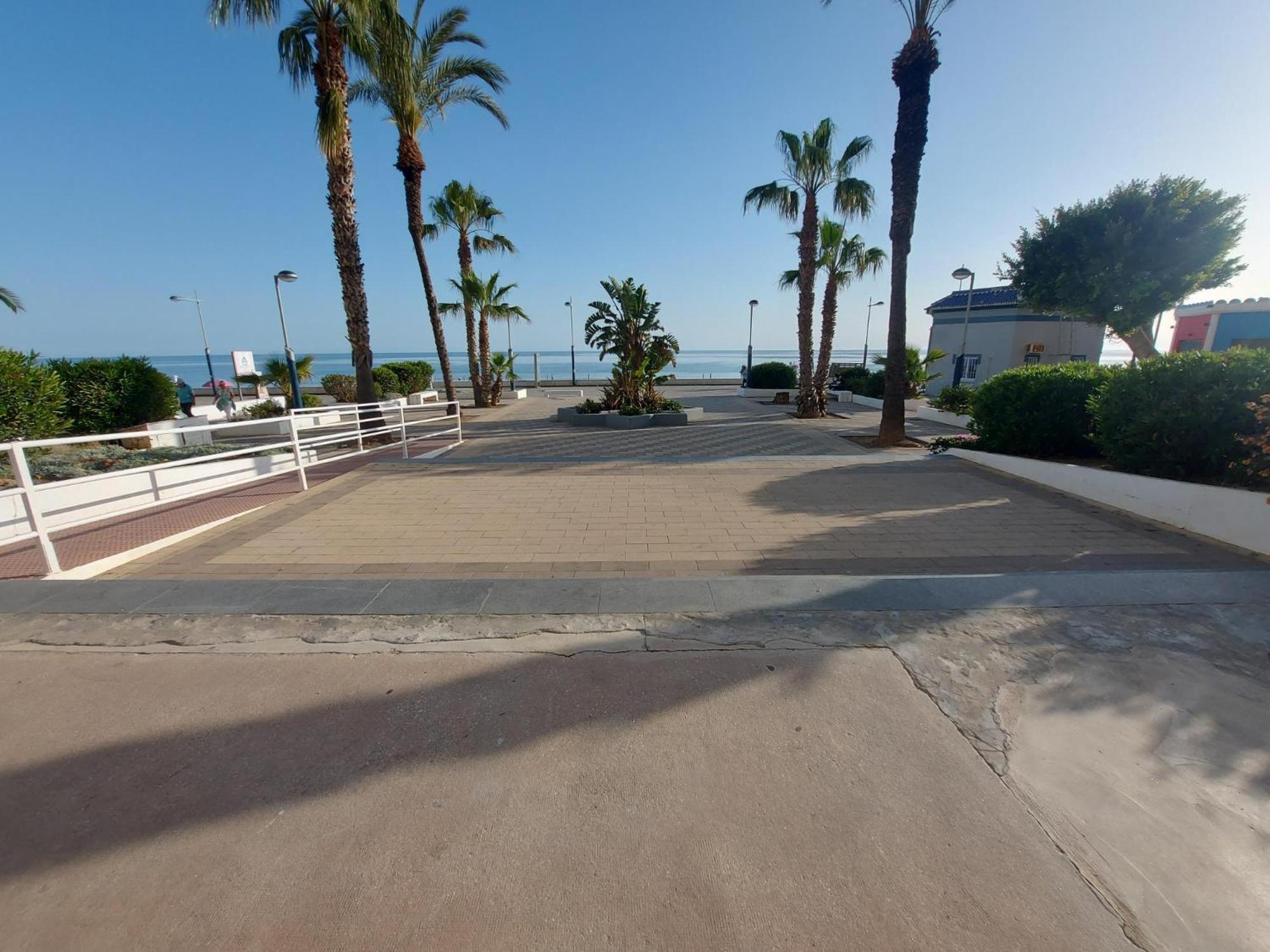 Torrox *