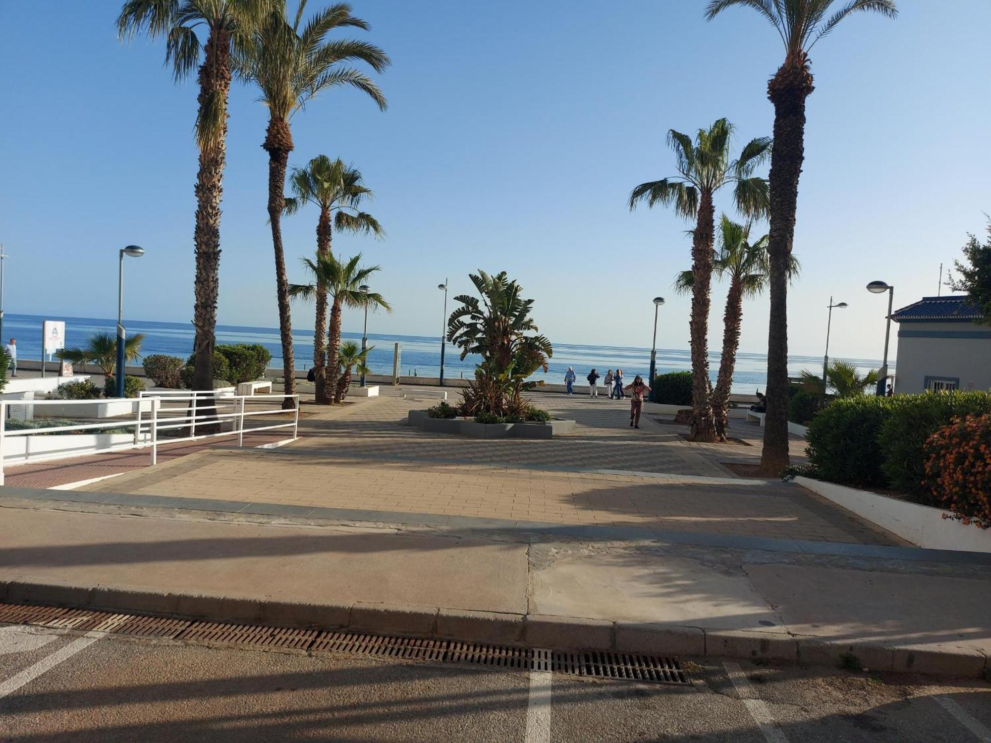 Torrox *