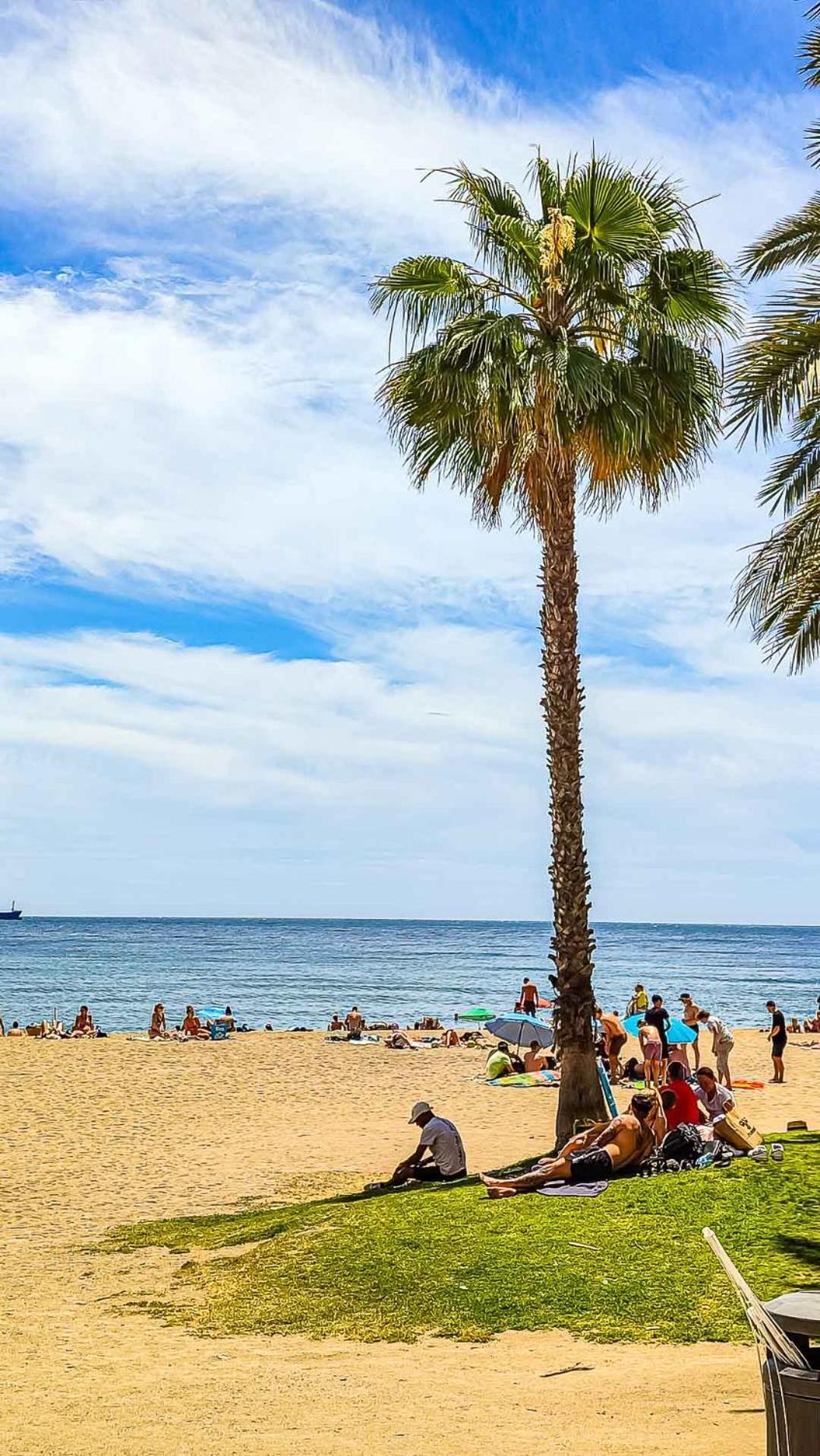 Vivienda Centrica Frente Al Mar * Málaga