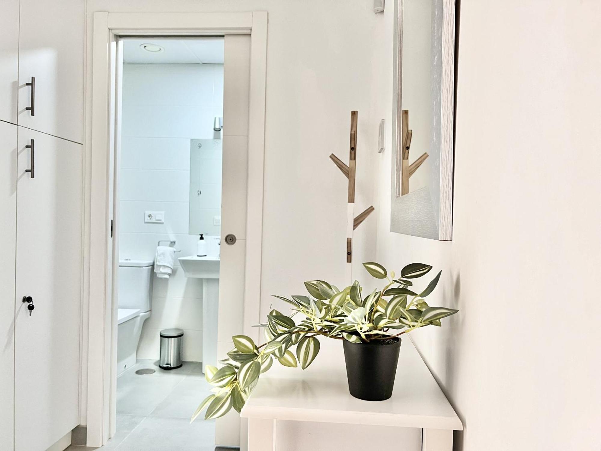 Circo 6 Appartement