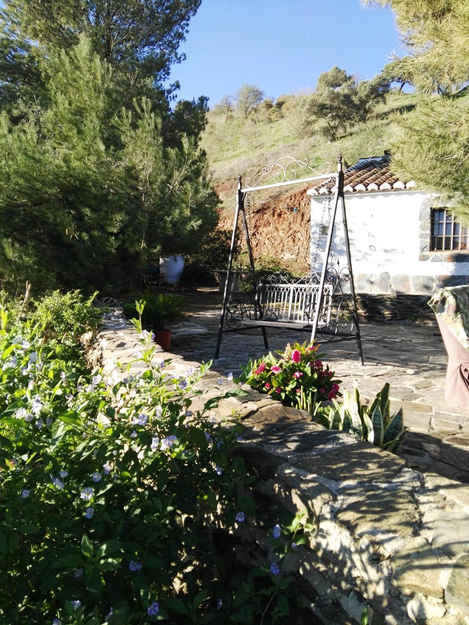 Pinar El Almendra * Malaga