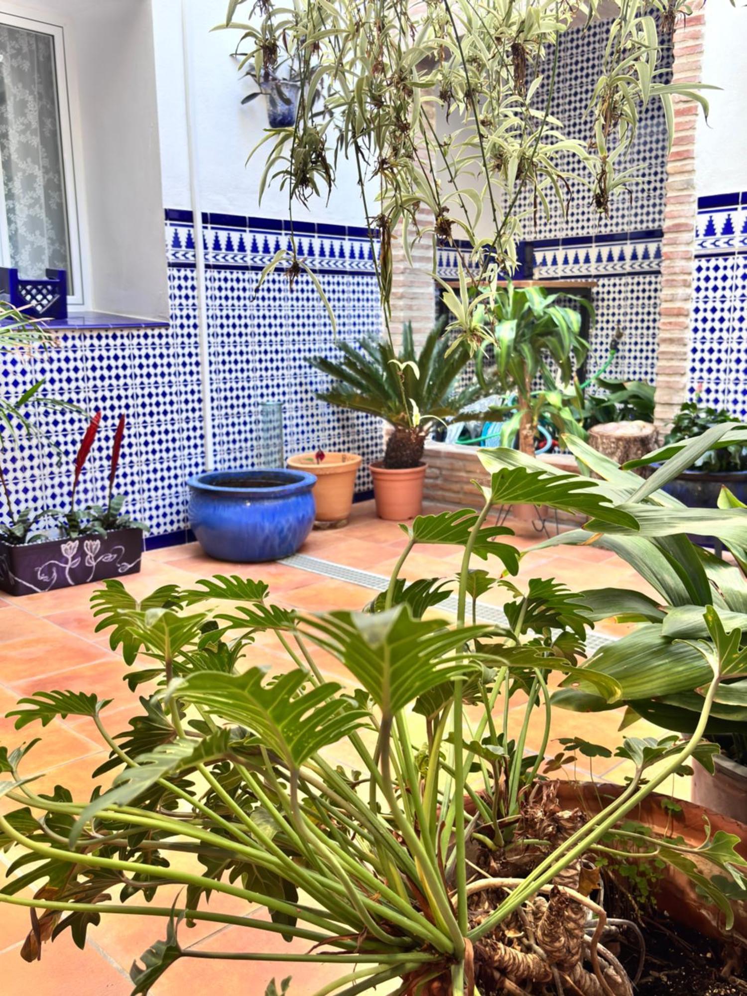 Shanti's Andalusian Pensión