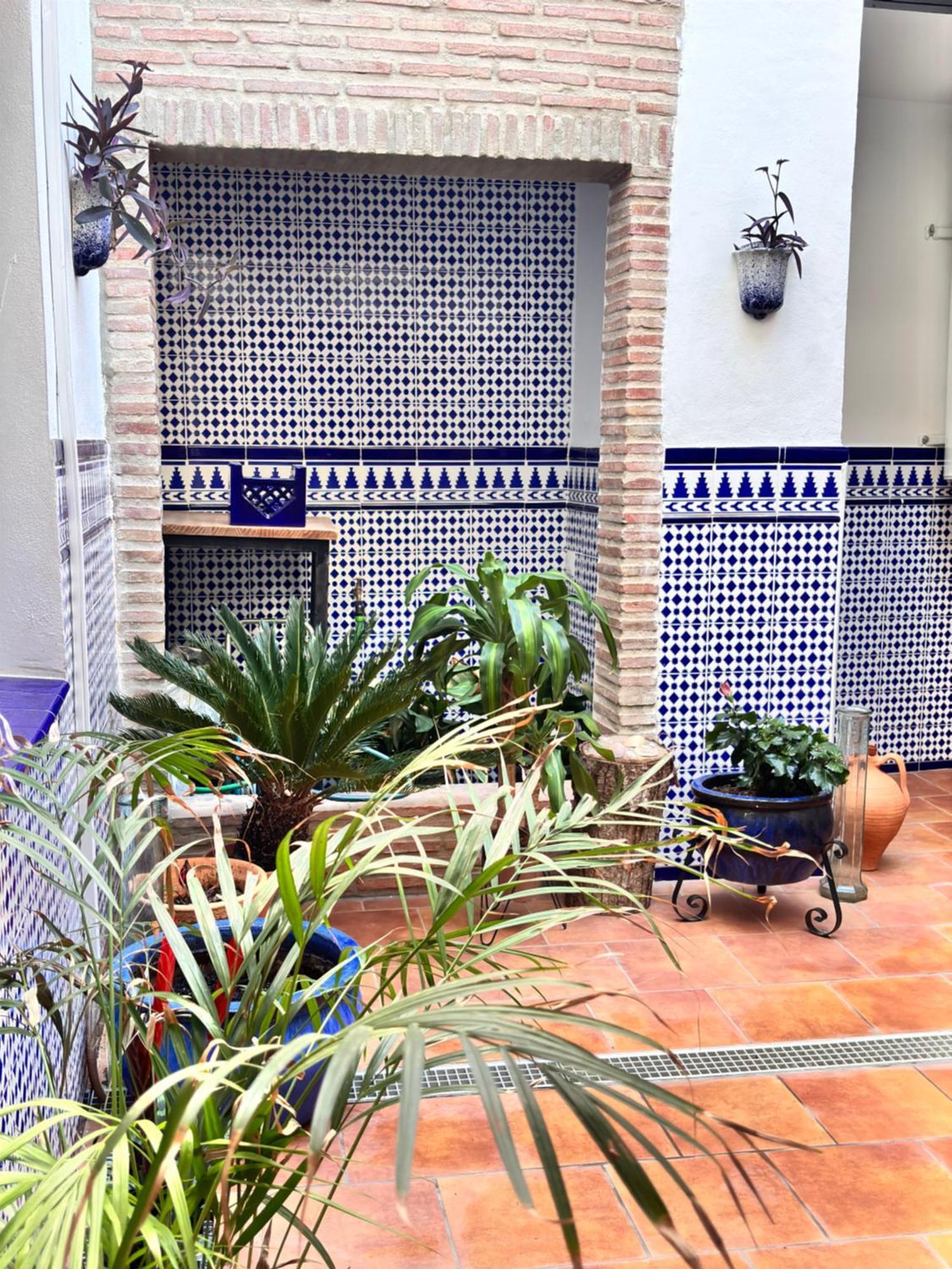 Shanti's Andalusian * Málaga