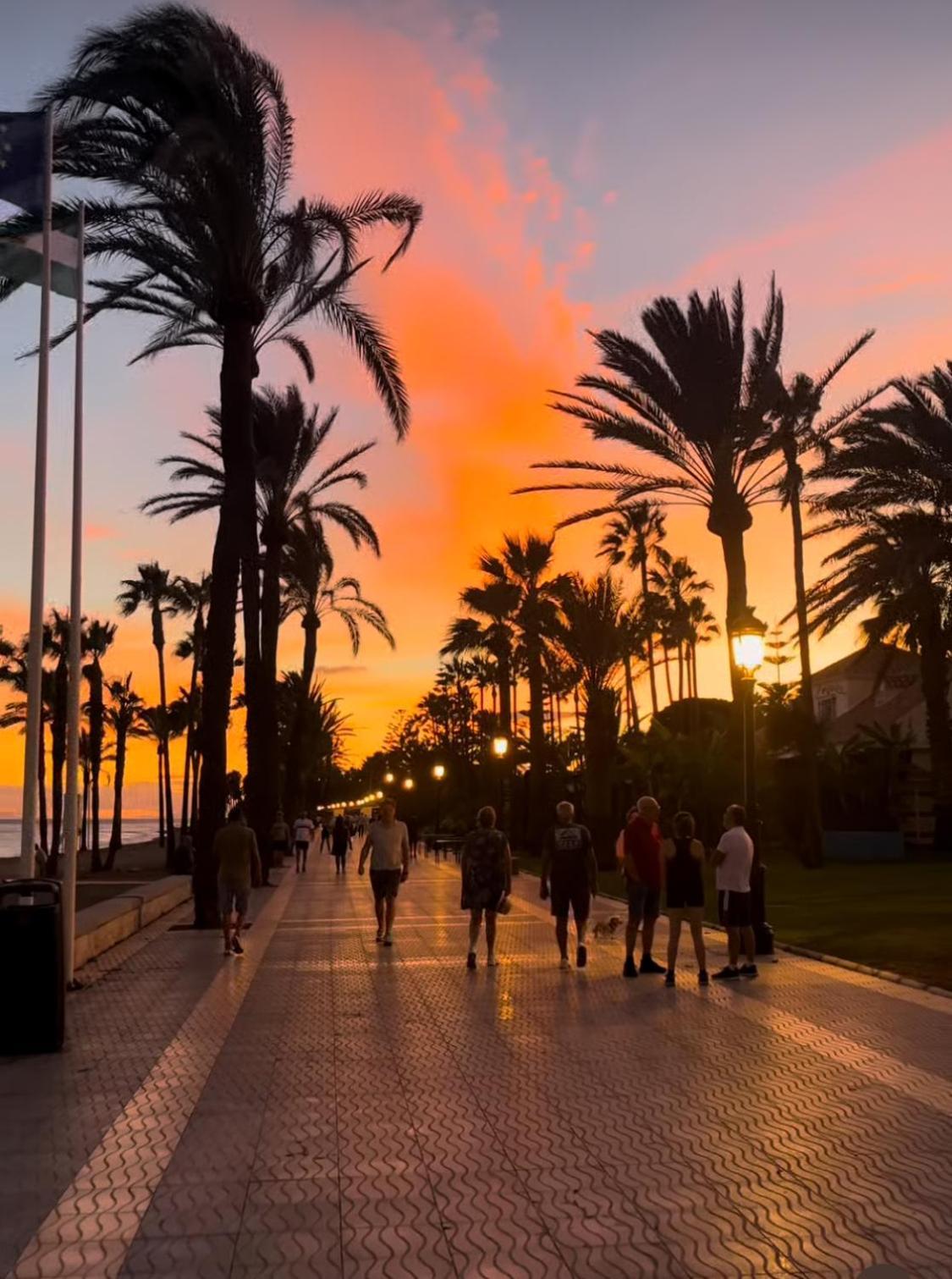 Soho-malaga Center *