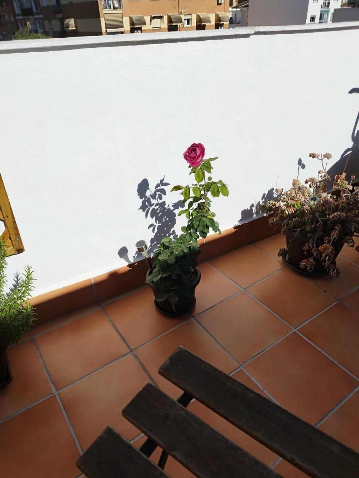 Apartment Plumaria