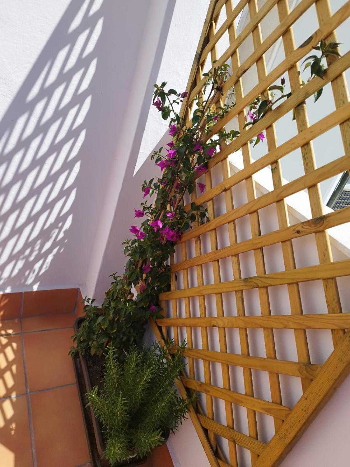 Plumaria Apartment *