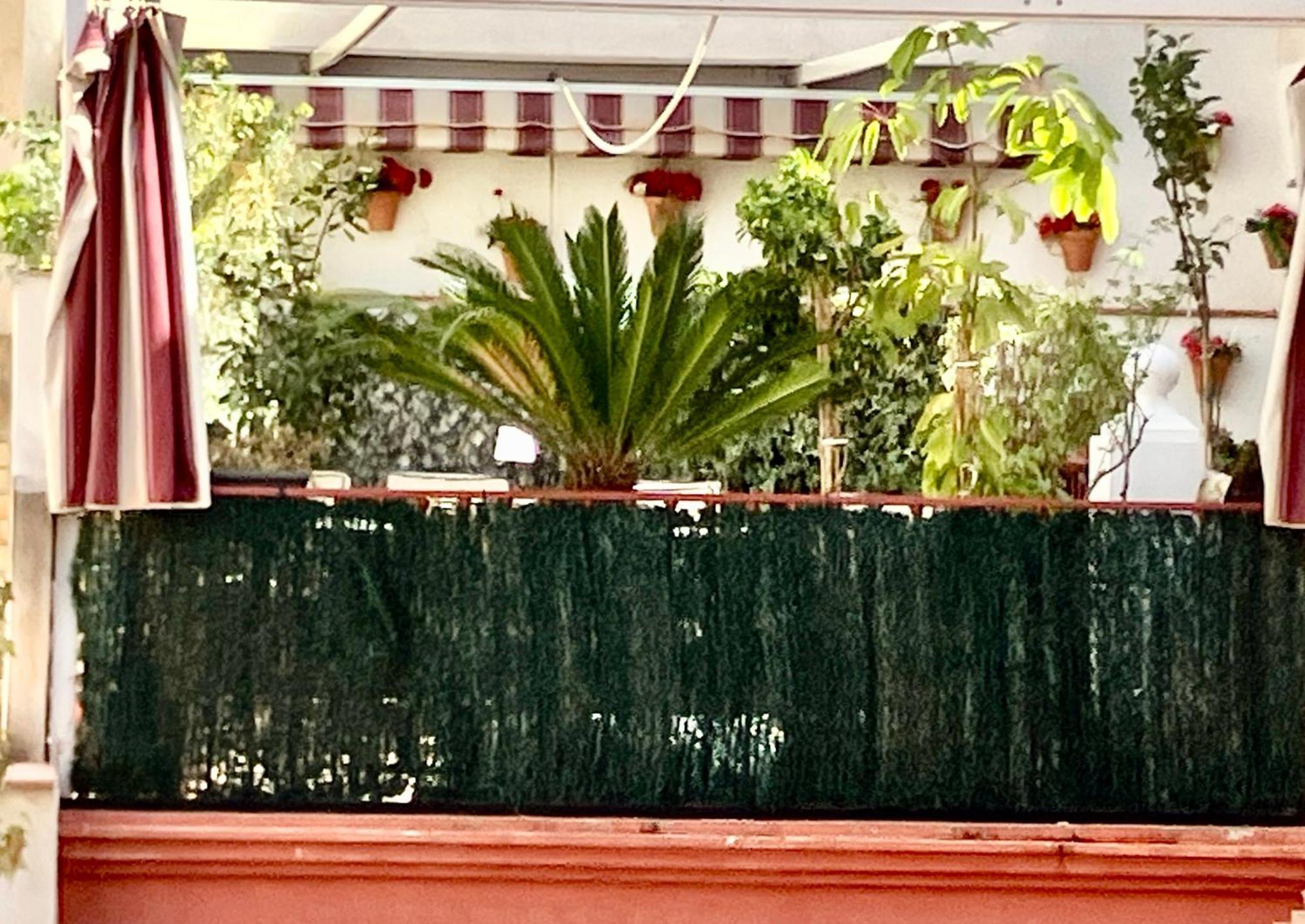 Appartement Maravilloso Centrico De 70m2, Jardin Propio 40m2 Con Piscina Ninos Y Parking Opcional
