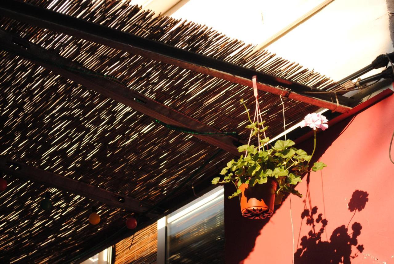Hostel Casa Babylon Backpakers *