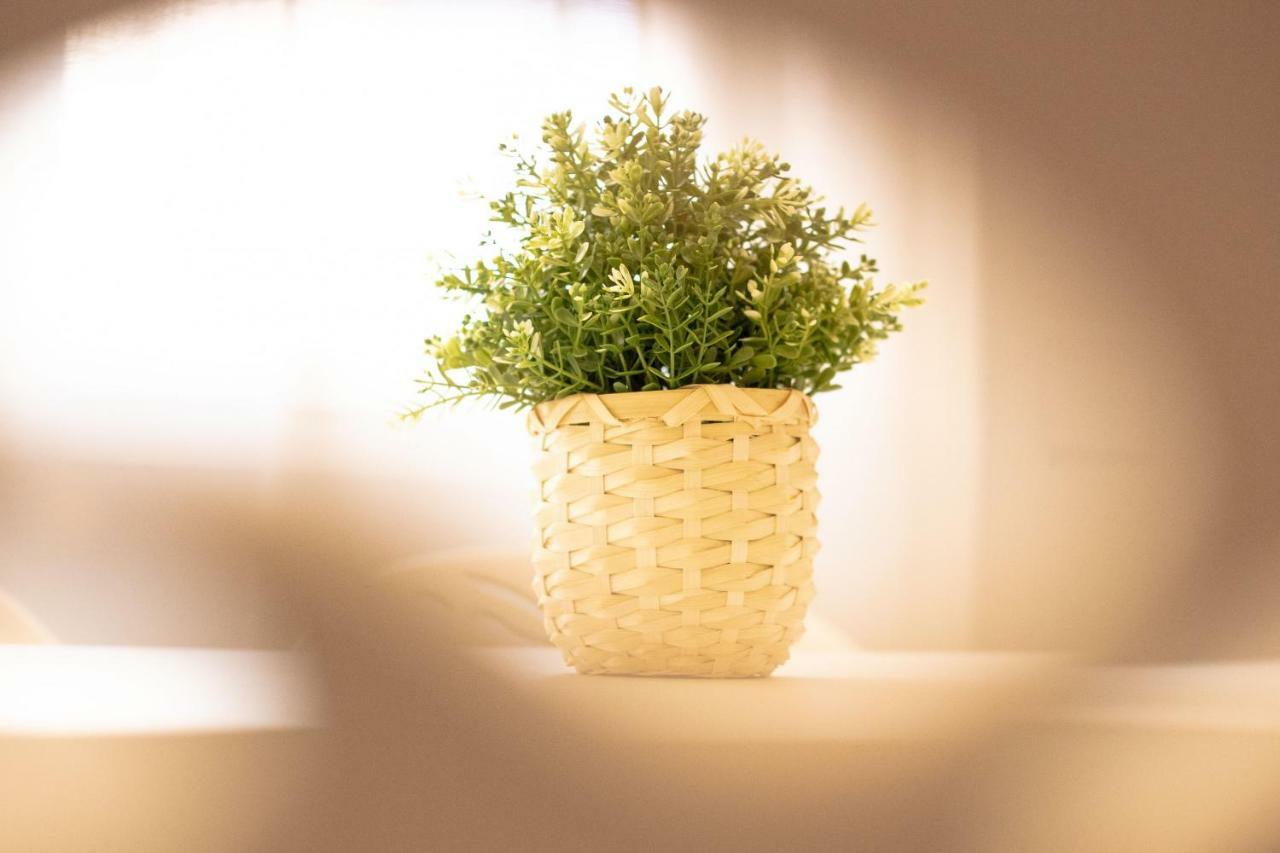 Apartamento Homes Saint Felipe Neri Málaga