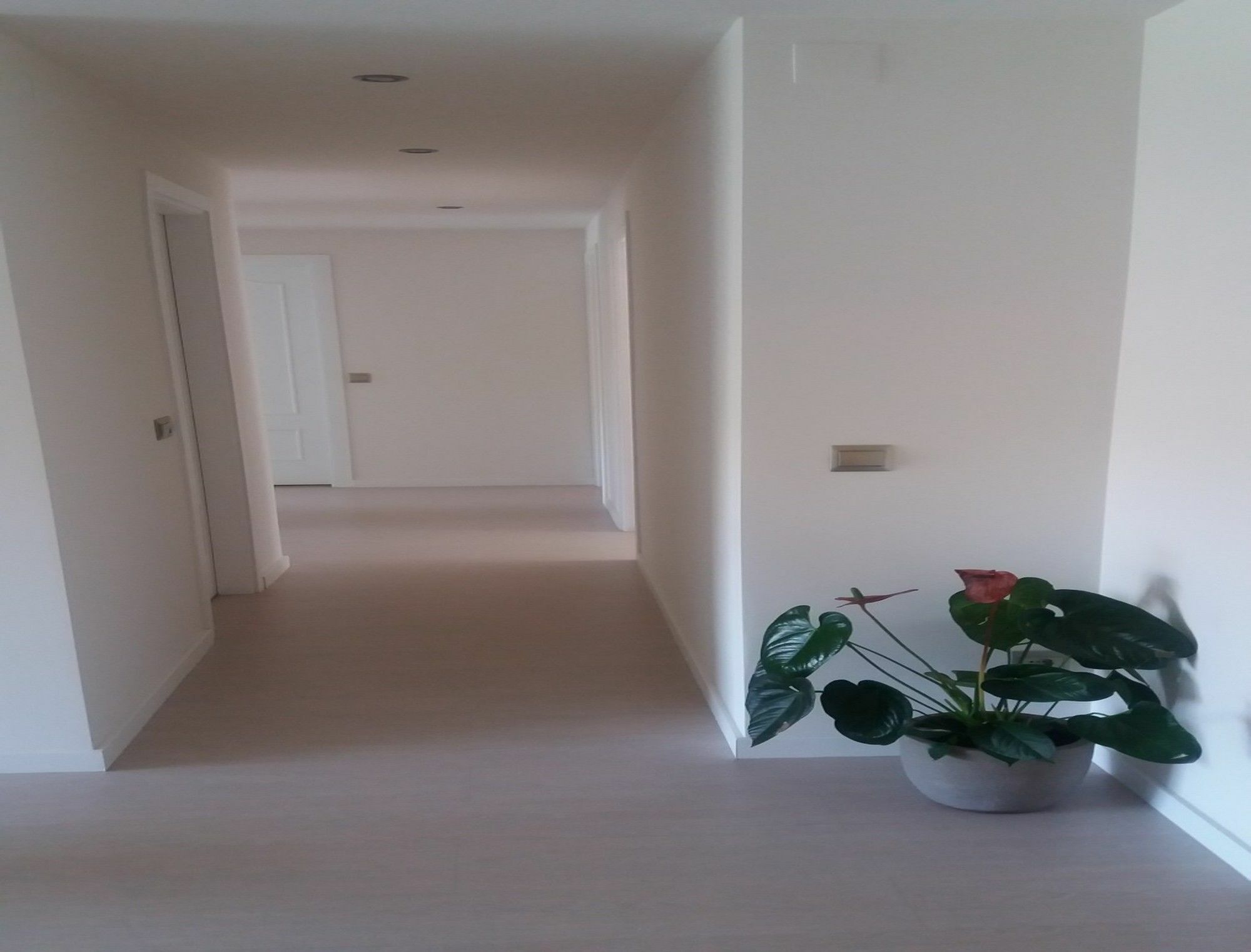Apartment 103327 2 Bedroom By Mo