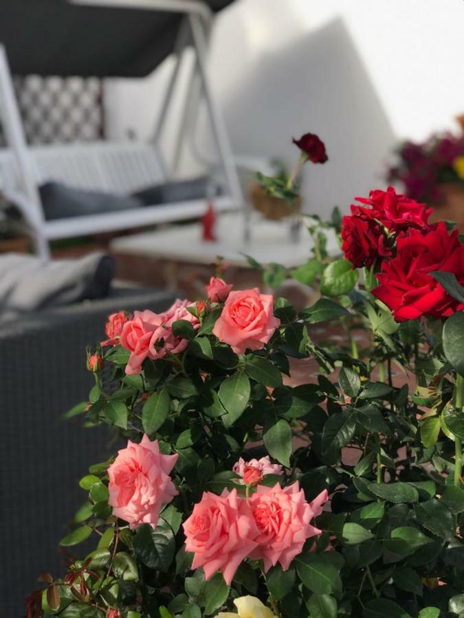 Сasa de vacaciones Luxury Sea Home&terrace *