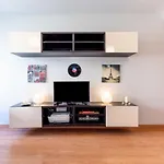 Ferrandiz