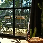 The Boho-Chic Oasis