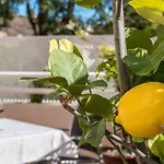 Casa Limonar Málaga