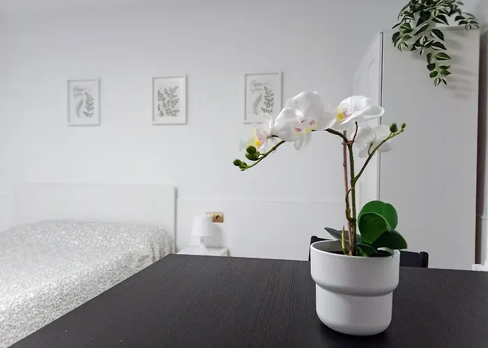 Hermoso Estudio Centro De Malaga